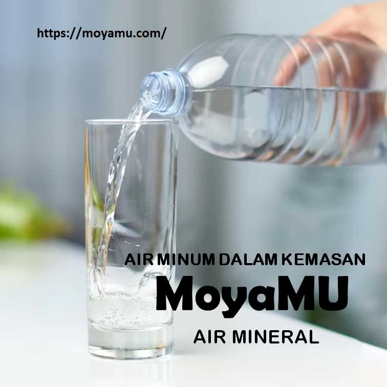 7 Panduan Membeli Air Minum dalam Kemasan yang Berkualitas